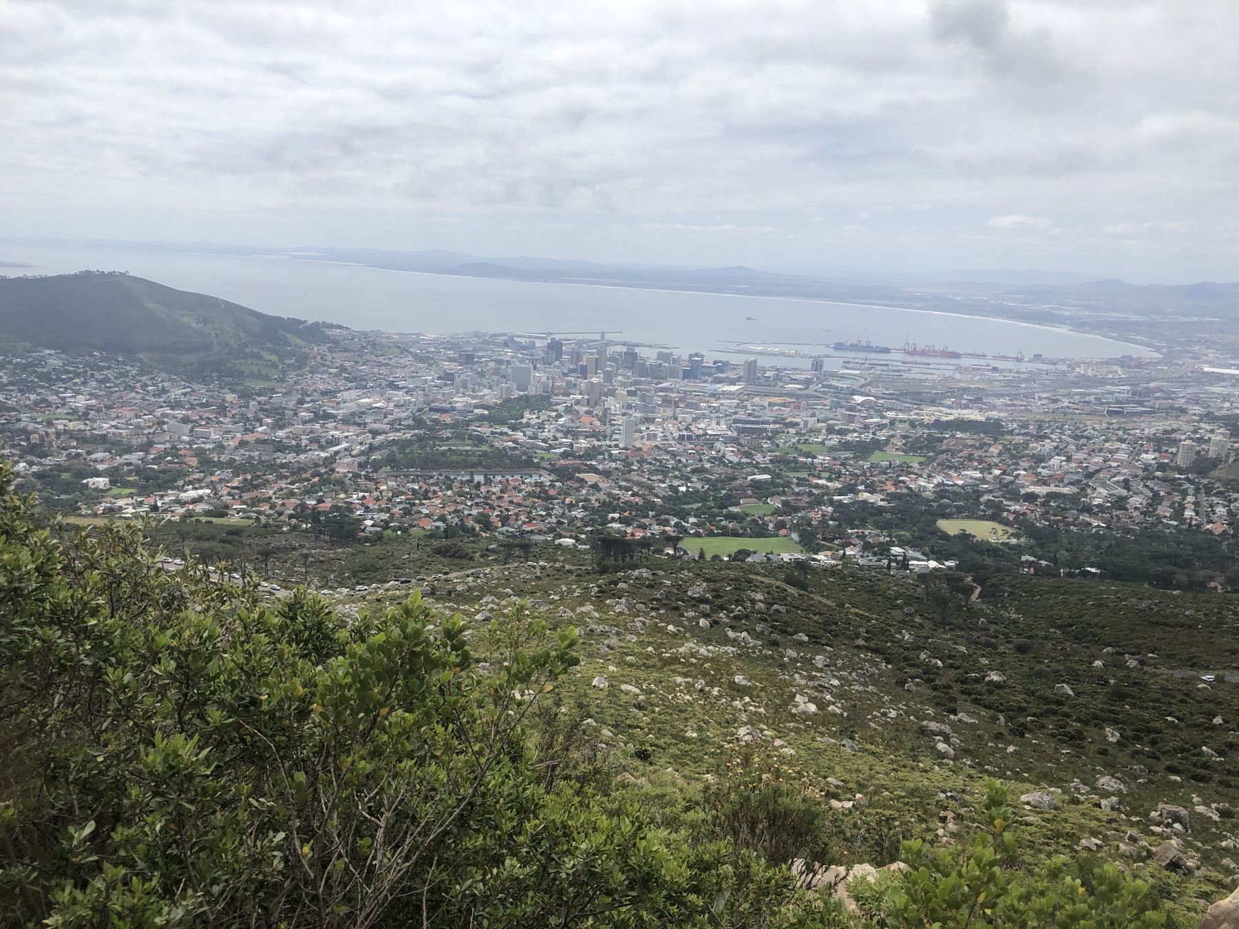 The bay of Cape Town seen from a mountain trail